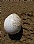 Egg and Tread