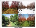 Picture Title - 4 SEASONS