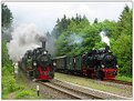 Picture Title - Steam trains