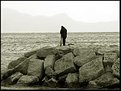 Picture Title - Alone