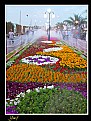 Picture Title - Flowers Festival