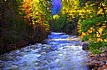 Picture Title - Fall colors Yosemite