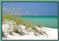 Picture Title - Pensacola Beach