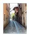 Picture Title - Alley  ramble