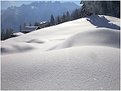 Picture Title - Snow
