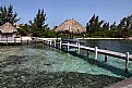 Picture Title - Roatan1