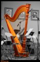 Picture Title - color harp in desaturation