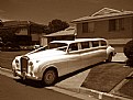 Picture Title - Wedding  60's Limo