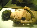 Picture Title - egyption mummy
