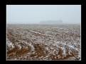 Picture Title - Sowing Snow