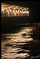 Picture Title - Caspian sea at Night