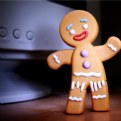 Picture Title - Gingy!