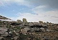 Picture Title - Mountain sheep