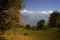 Picture Title - meadow&mountain