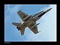 Picture Title - Hornet