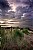 St Cyrus Coastline at Dawn