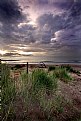 Picture Title - St Cyrus Coastline at Dawn