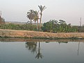 Picture Title - by the Nile