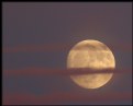 Picture Title - Moonrise at Dusk