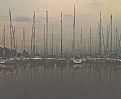 Picture Title - Tranquilo