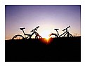 Picture Title - Bicycles