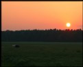 Picture Title - Sunset On the Meadow