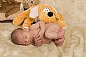 Picture Title - my teddy will protect me