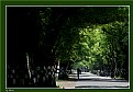 Picture Title - Green Road