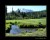 Lassen Peak from Upper Kings Meadow