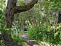 Picture Title - Garden Path