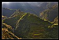 Picture Title - rice terraces