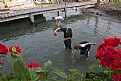 Picture Title - fishing for hermit crabs