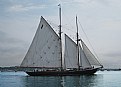 Picture Title - Bluenose II