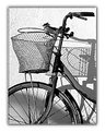 Picture Title - Old bike