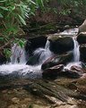 Picture Title - Boone Fork Creek