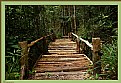 Picture Title - Wooden Bridge