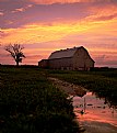 Picture Title - This Old Barn