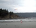Picture Title - Beautiful Kite