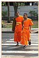 Picture Title - Monks