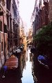 Picture Title - Summer morning, Venice