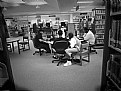 Picture Title - Library Gang