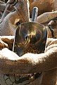 Picture Title - "Coffee Beans"