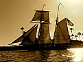 Picture Title - sail boat...