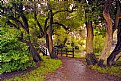 Picture Title - A Hint Of Autumn In The Park