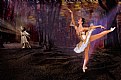 Picture Title - BALLET FAIRY  TALE