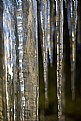 Picture Title - icicles