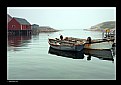 Picture Title - Peggy's Cove Fog