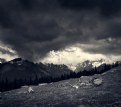 Picture Title - Tatra mountains