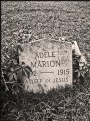Picture Title - Adele Marion: 1892-1915