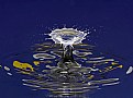 Picture Title - Splash in the night